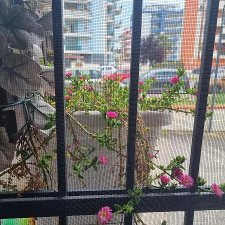 Alba Sweet Apartment Alba Adriatica Exterior photo